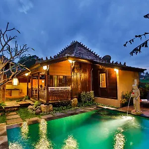 Nini Villa